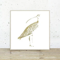 Curlew - Fine Art Print -Home Furnishings Store Curlew 2017 Si Homfray copy 1