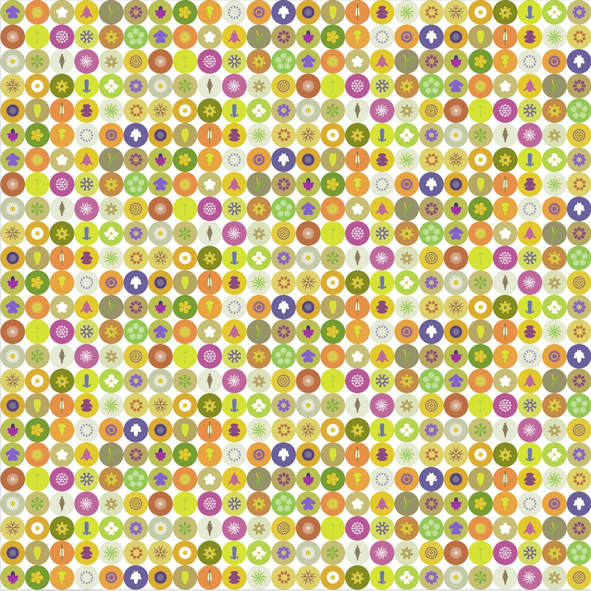 Dandelion - Fine Art Print 3 Dandelion - Fine Art Print - Image 3