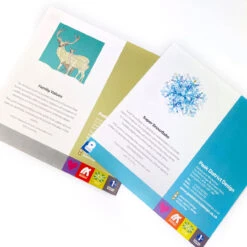 Christmas Cards - Iconic - Super Snowflake & Red Deer - Set Of 8 -Home Furnishings Store IMG 4451