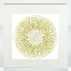 Eyes Of Nature - Mini Print Set Of 3