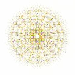 Dandelion - Fine Art Print 7 Dandelion - Fine Art Print -Home Furnishings Store Park Designs Dandelion Design Si Homfray