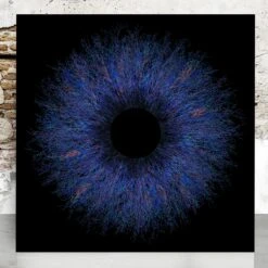 Feathered Eclipse - Fine Art Print -Home Furnishings Store Park Designs Feathered Eclipse Si Homfray scaled copy