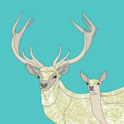 Home Furnishings Store -Home Furnishings Store Park Designs Red Deer Family Values zoom sq