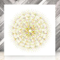 Eyes Of Nature - Mini Print Set Of 3 -Home Furnishings Store Peak District Design Dandelion Print d8caf663 5e1c 4094 9266 02d31d848031