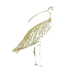 Iconic Peak District - Mini Print Set Of 3 18 Iconic Peak District - Mini Print Set Of 3 -Home Furnishings Store Si Homfray Bucolic Curlew 2017 bd77f292 6156 47b3 b6cc e19e1c251f5c