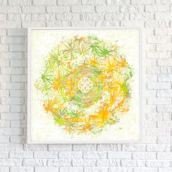 Sphagnum Sun - Fine Art Print